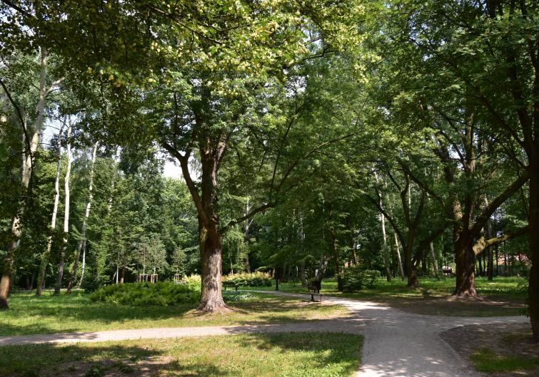Park w Józefosławiu #3