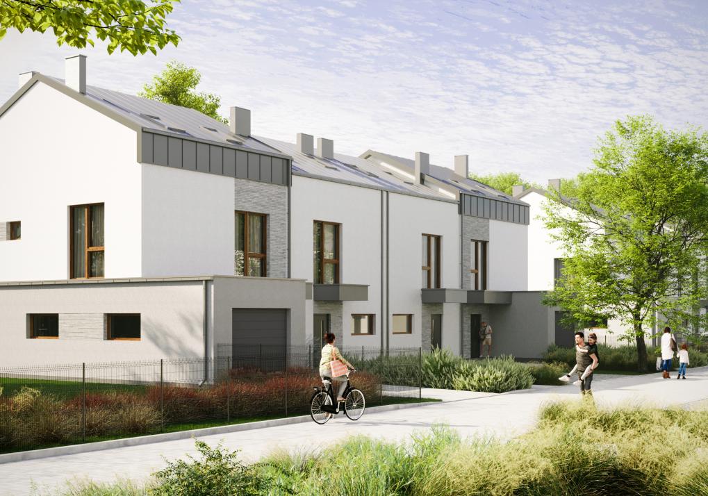 Domy w Baszkówce - widok ogólny